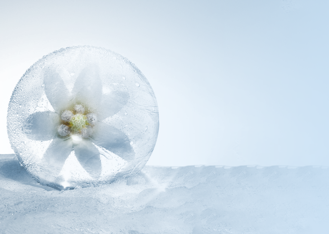 Что значит свежий и эффективный?